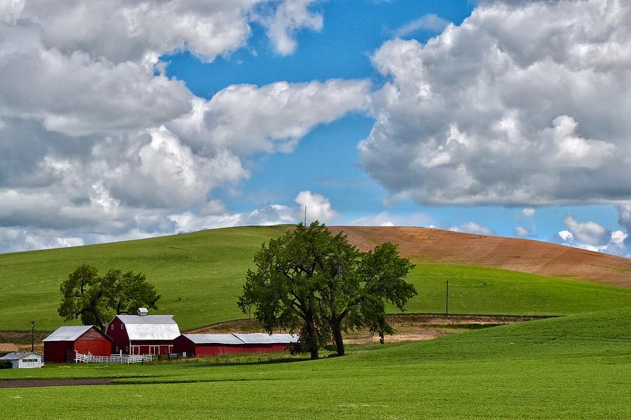 Palouse farm Photograph by Michael Biggs - Pixels