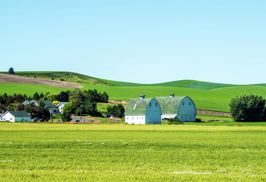 Palouse farm Photograph by Mike Wheeler - Fine Art America