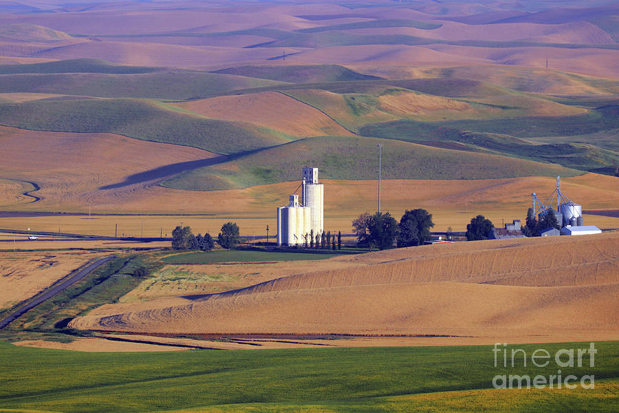 Palouse Grain Elevators 2409 Photograph by Jack Schultz Pixels
