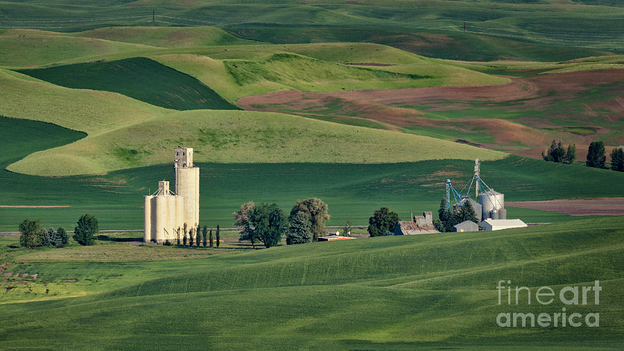 Palouse Grainery  Photograph by Jerry Fornarotto