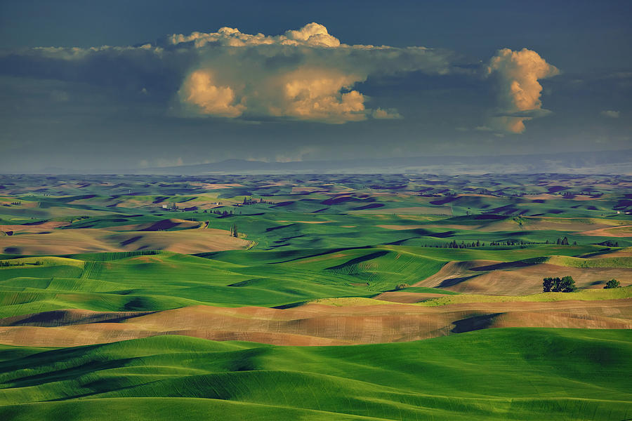 Palouse Hills 11 Photograph by Mike Penney | Fine Art America