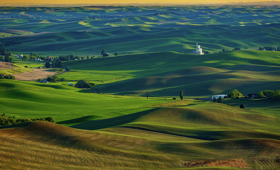 Palouse Hills 14 Photograph by Mike Penney - Fine Art America
