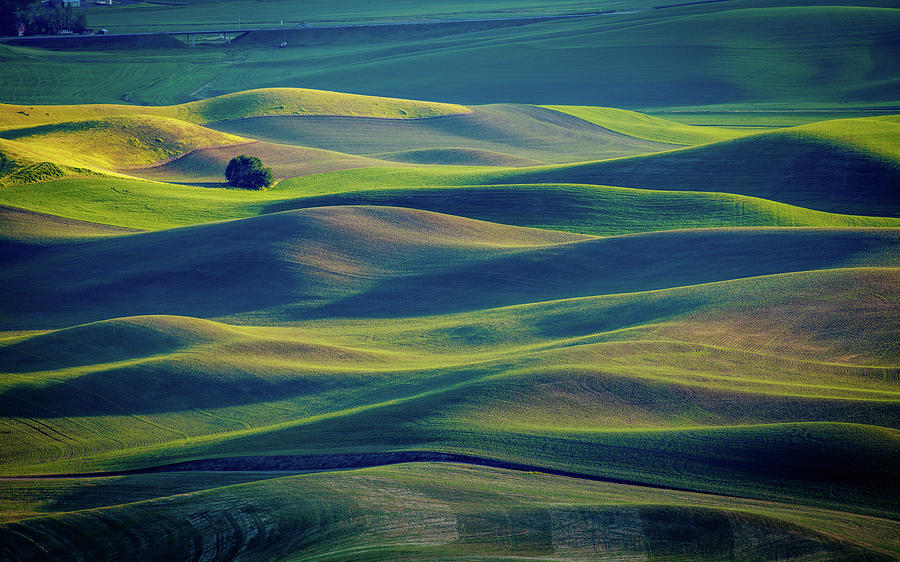 Palouse Hills 2 Photograph by Mike Penney | Fine Art America