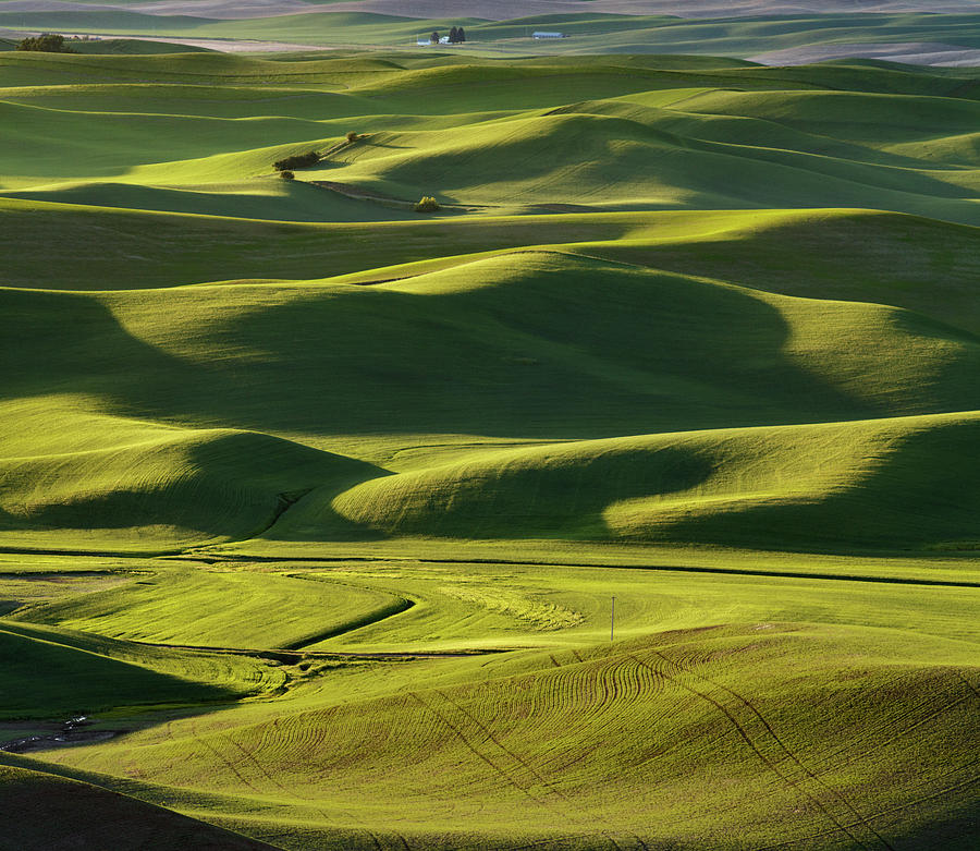 Palouse Hills 5 Photograph by Mike Penney - Fine Art America