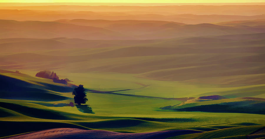 Palouse Hills 7 Photograph by Mike Penney