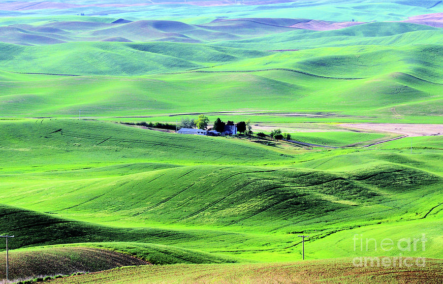 Palouse Hills Country Photograph by Don Siebel