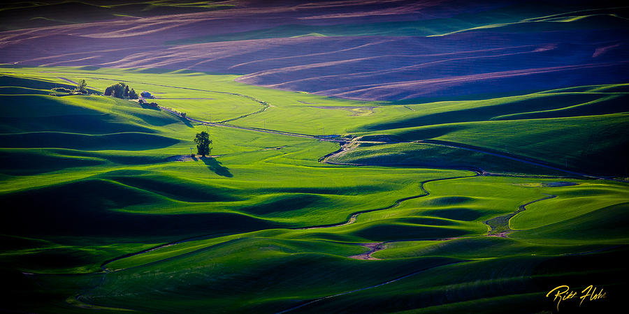 Palouse - Later Afternoon Photograph by Rikk Flohr