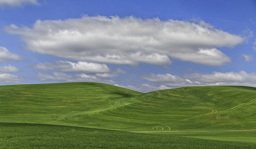 Palouse Lines Photograph by Wes and Dotty Weber