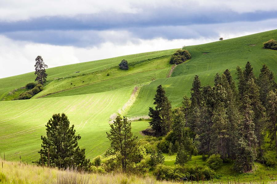 Palouse Photograph - Palouse by Matt Cohen Palouse Photograph - Palouse by Matt Cohen