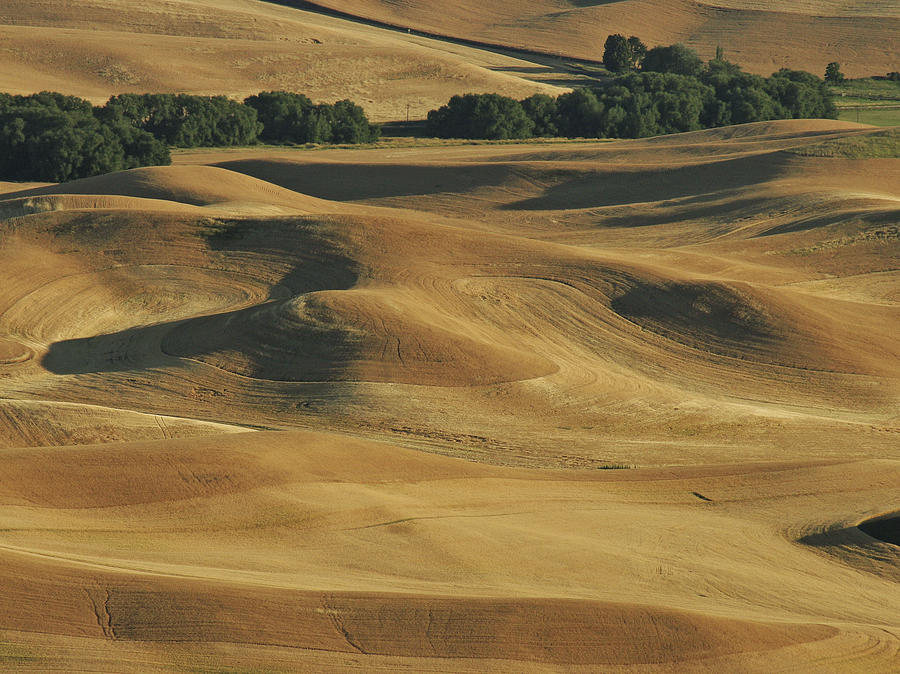 Palouse Patchwork by Jean Noren Photograph by Jean Noren