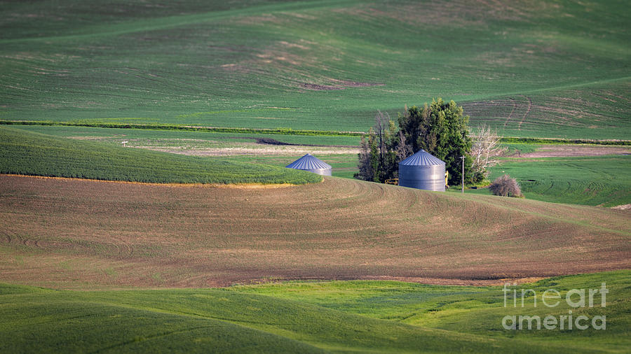 Palouse Plowed Field Photograph by Jerry Fornarotto