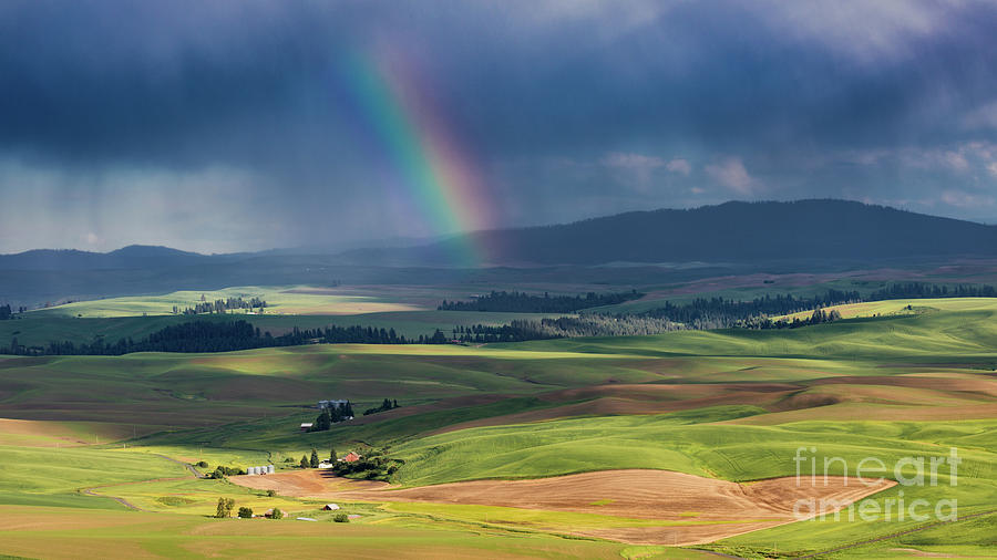 Palouse Rainbow Photograph by Jerry Fornarotto