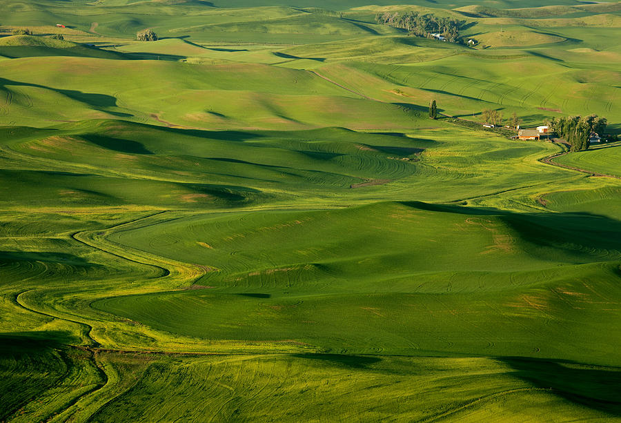 Palouse Spring Photograph by Mike Dawson