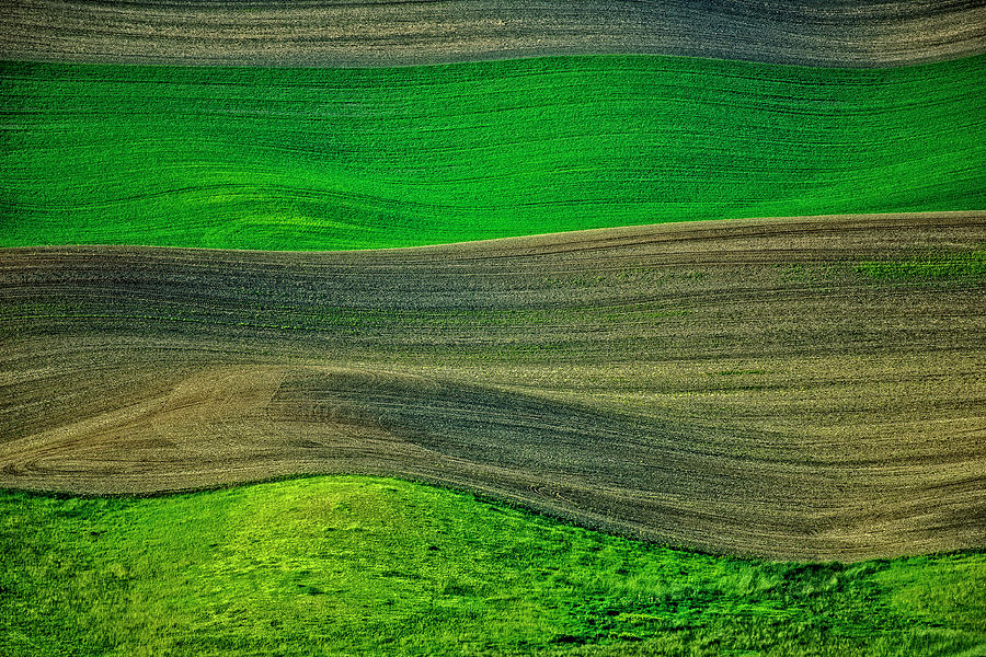 Palouse Textures Two Photograph by Ed Broberg