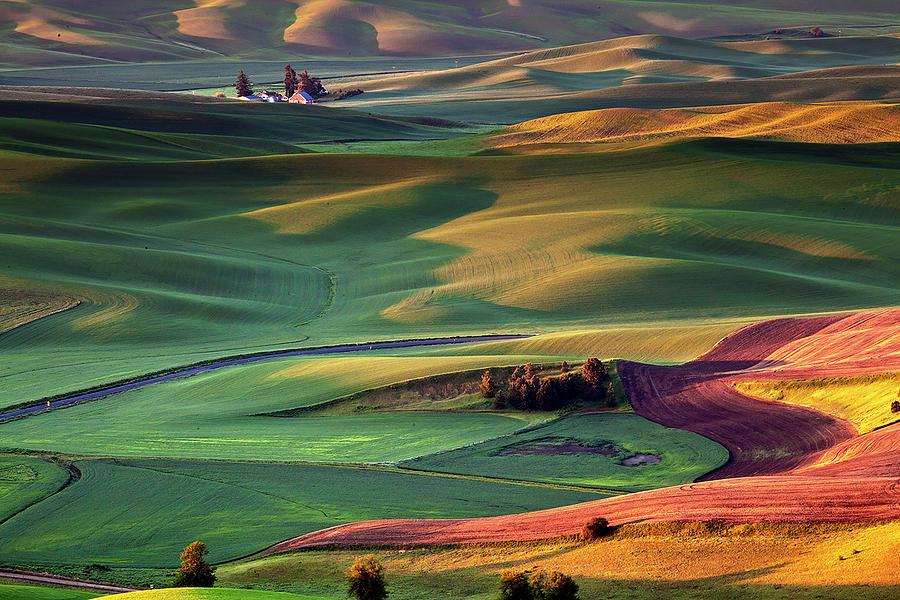 Palouse View from Steptoe Butte Photograph by Terry Scussel - Fine Art ...