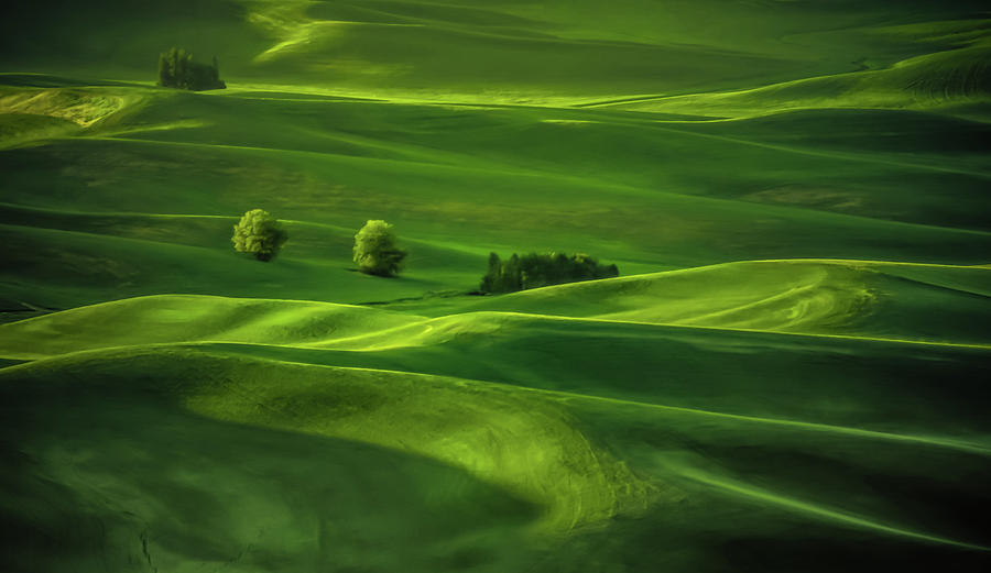 Spring Photograph - Palouse Waves by Don Schwartz