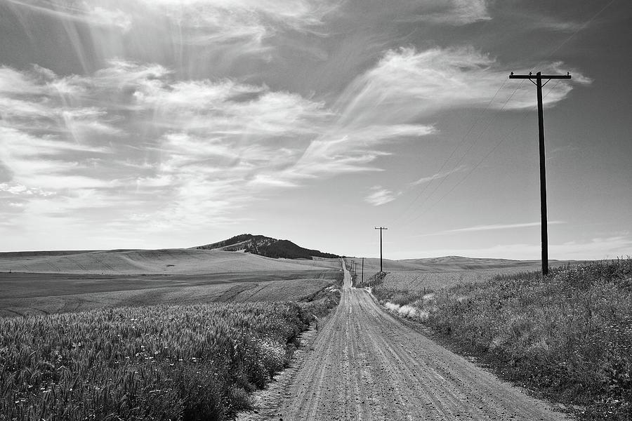Palousse County Back Road Photograph by Allan Van Gasbeck