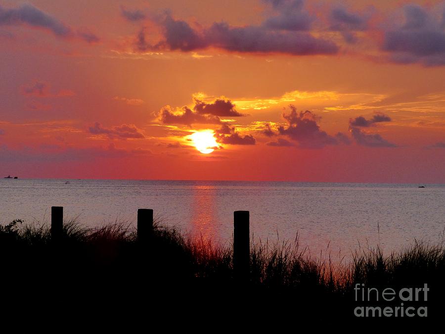 Pamlico Sound Sunset Photograph by Jean Wright