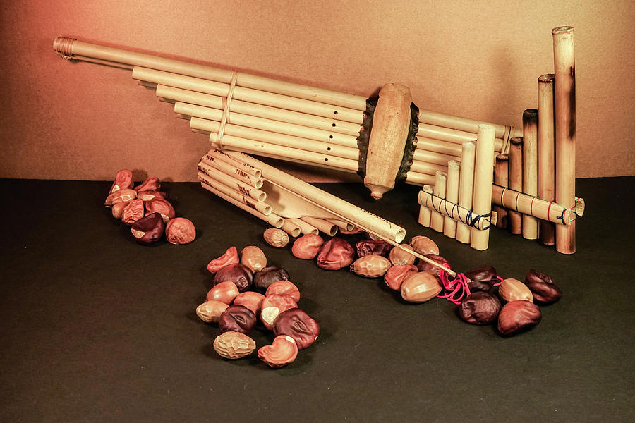 Pan Pipes and Chessnuts Photograph by Douglas Barnett