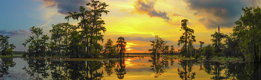 Panorama The Yellow Sunset Of Louisiana  Photograph by Kimo Fernandez