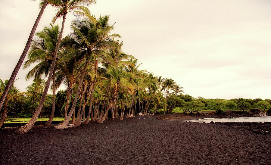 Black Sand / L