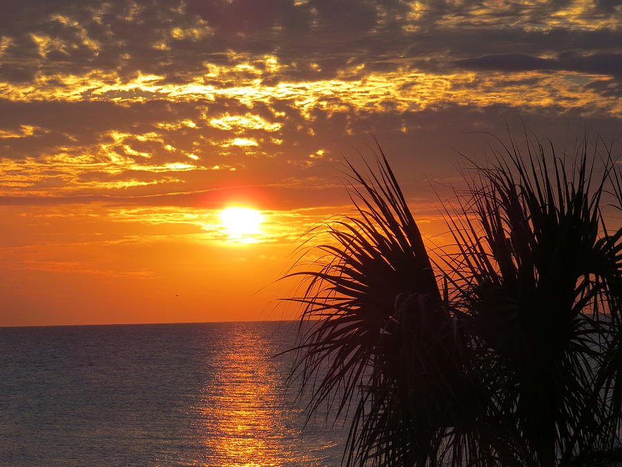 Panama City Beach Sunset Photograph by Joanne Mclaren - Fine Art America