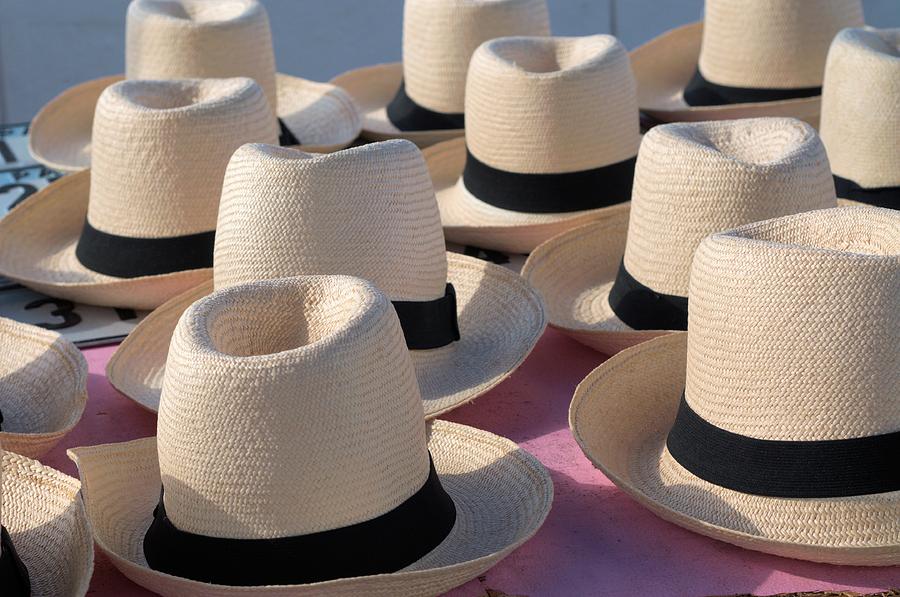 Panama hats 3 Photograph by Douglas Pike