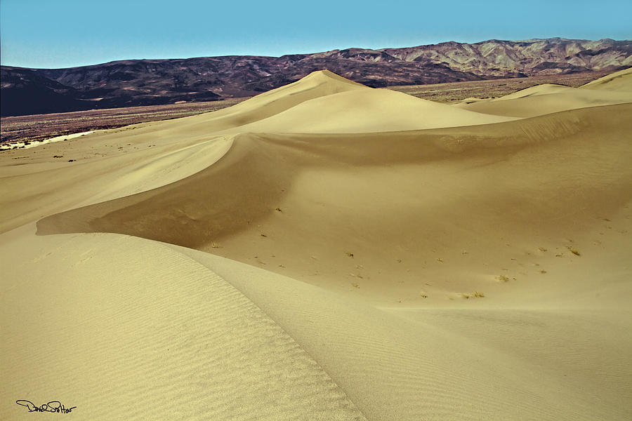Death Valley National Park Photograph - Panamint Dunes by David Salter
