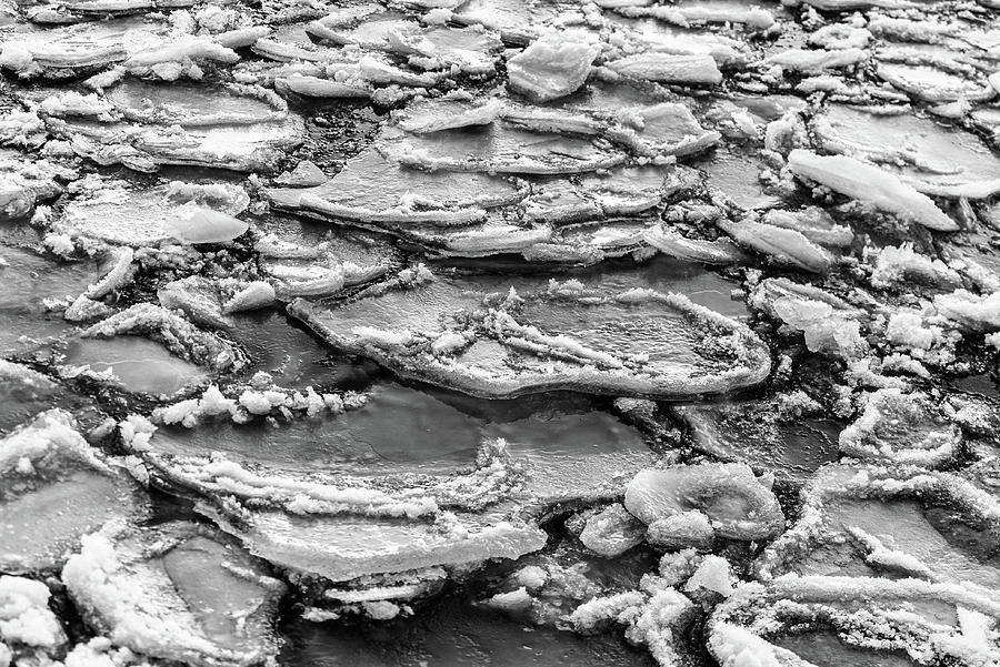 Pancake Ice Photograph by Dave Niedbala