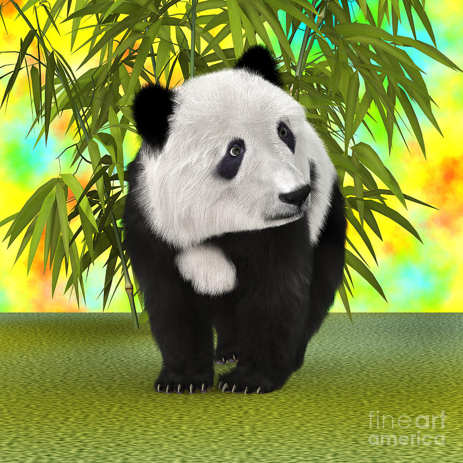 Wildlife Digital Art - Panda Bear Cub by Design Windmill