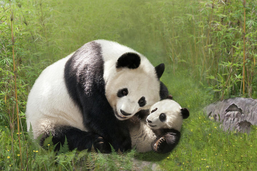 Panda Bears Digital Art by Thanh Thuy Nguyen