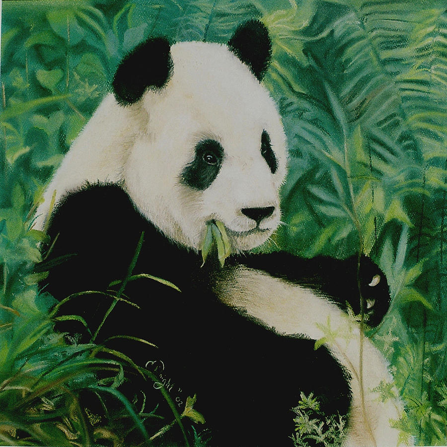 Jungle Pastel - Panda by Candice Wright