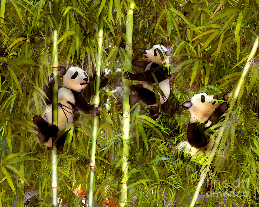 Panda Bear Painting - Panda Cubs by Two Hivelys