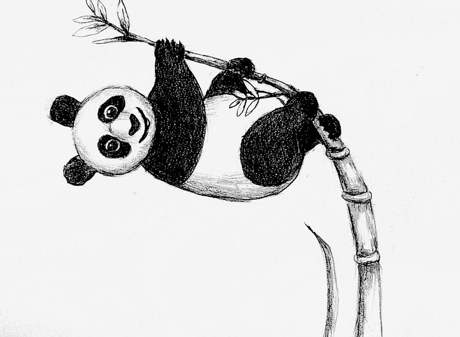 Original Panda Drawing in Colored Pencil - Etsy