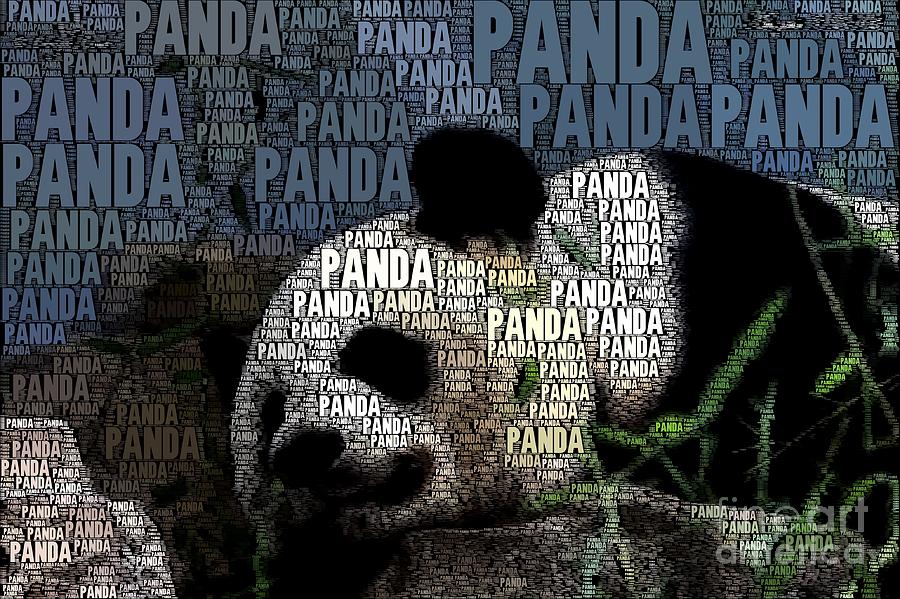 Panda with words Photograph by Dwight Cook