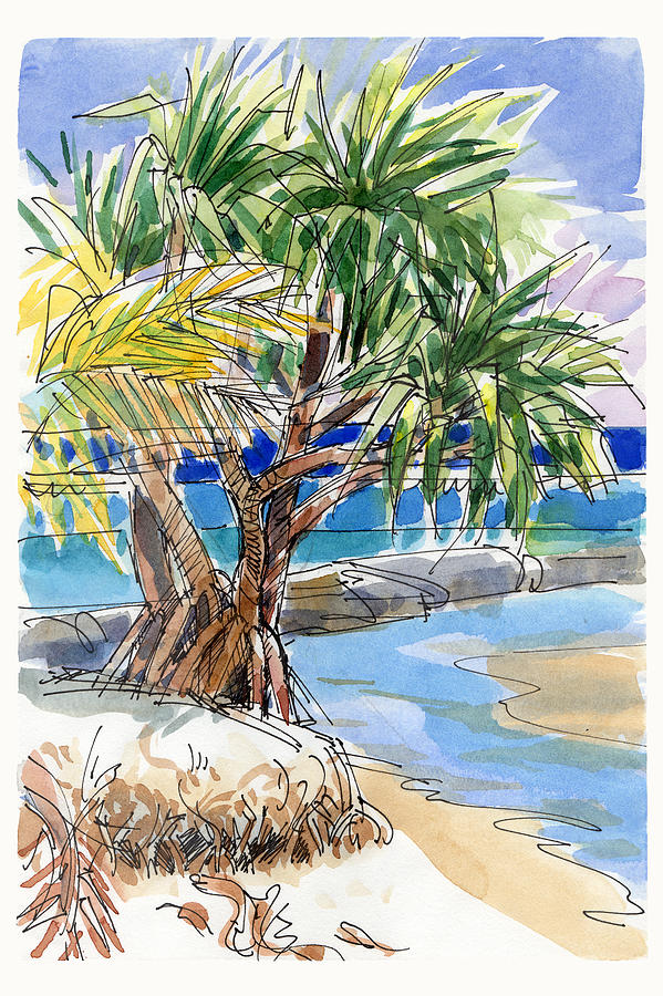 Pandanus tree on Tapuaetai, Aitutaki Painting by Judith Kunzle