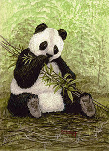 Pandas Lunch Painting by Carl McKinley