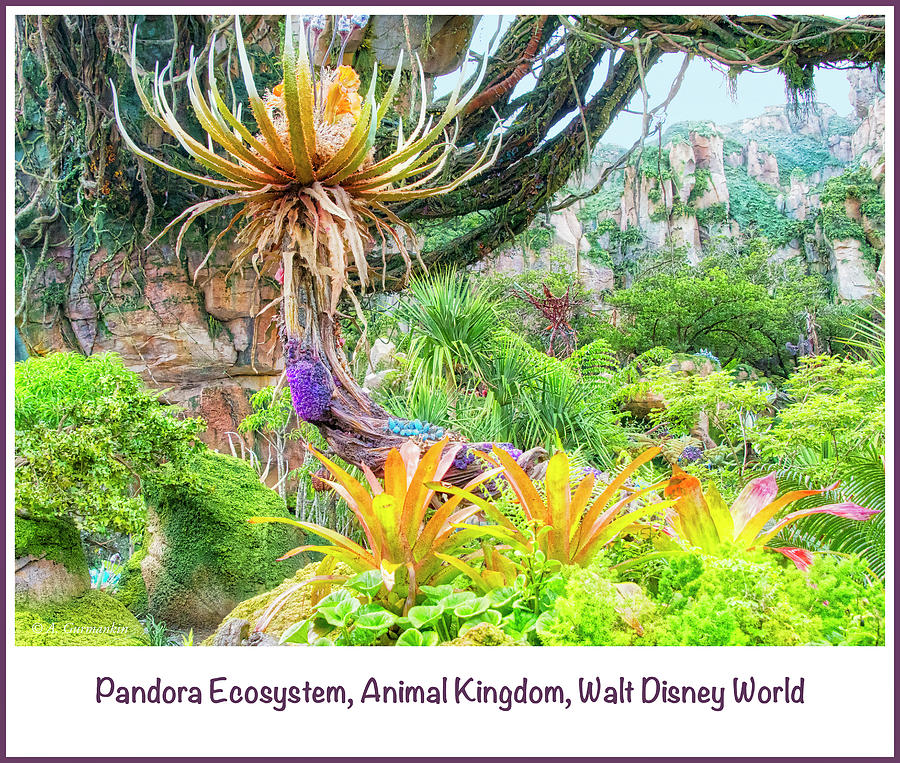 Pandora Ecosystem, Animal Kingdom, Walt Disney World Photograph by A Macarthur Gurmankin