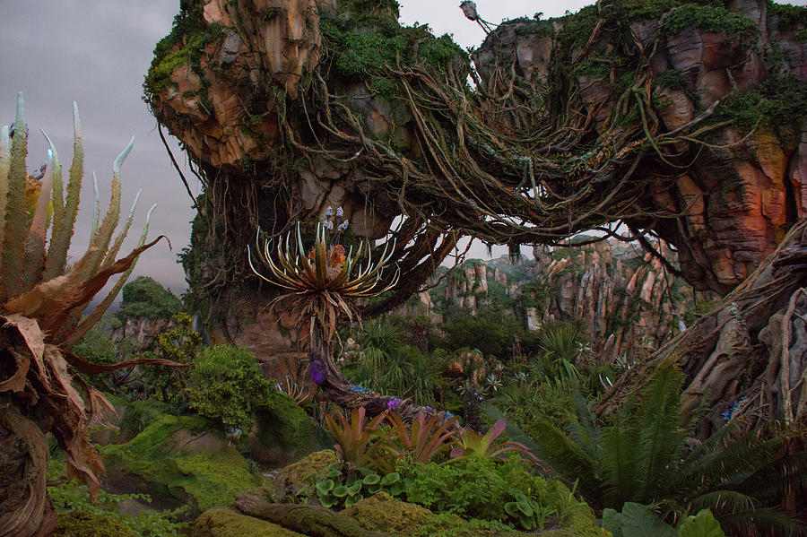 Pandora - World Of Avatar Photograph by John Black