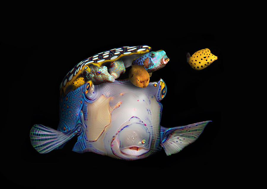 Pandoras box fish Photograph by Dray Van Beeck