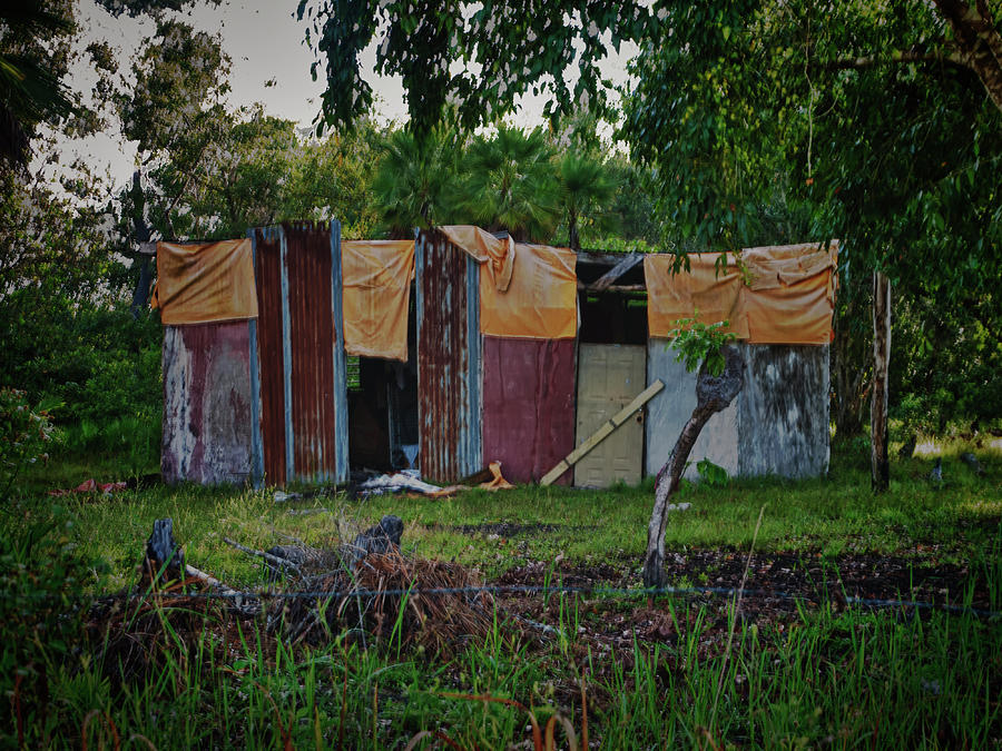 Panel House Photograph by Jessica Levant Panel House Photograph by Jessica Levant