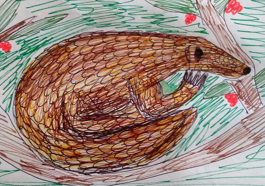 Pangolin Drawing by Andrew Blitman