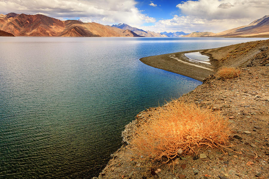 Pangong Tso Lake in Ladakh Photograph by Alexey Stiop