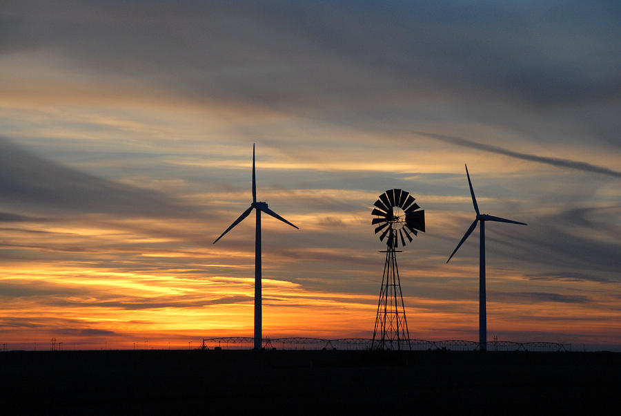 Panhandle Windmills Photograph by Bill Hyde