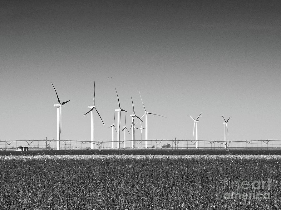 Panhandle Windmills Photograph