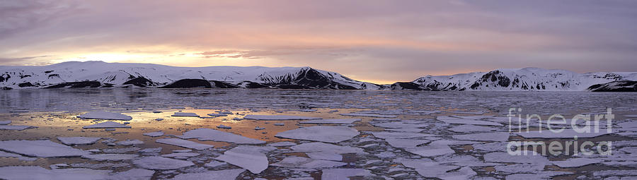 Panorama Antarctica Summer Sunset Photograph by Karen Foley