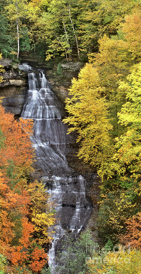 Panorama Fall Color Chapel Falls Upper Penninsula MI Photograph by Dave Welling