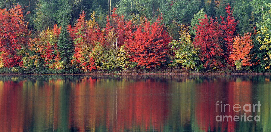 Panorama Fall Color Moccasin Lake Upper Peninsula MI Photograph by Dave Welling