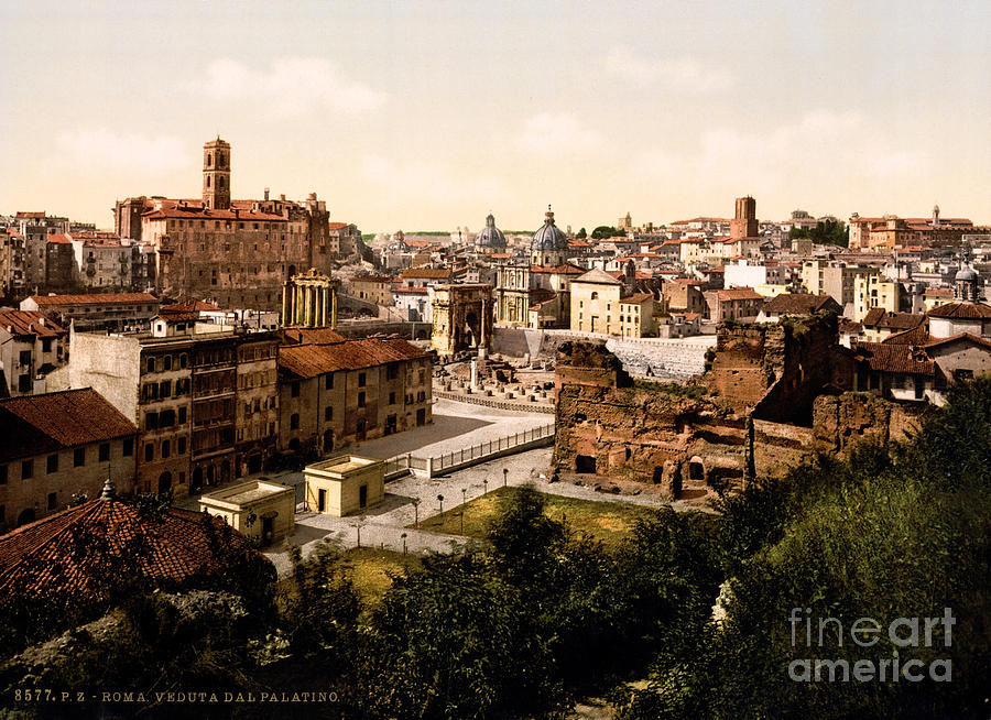 Panorama from the Palatine Painting by Celestial Images