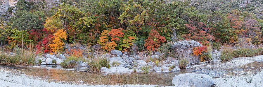 Panorama of a Creek in McKittrick Canyon with a Backdrop of Bigtooth Maples on a Mountainside -Texas Photograph by Silvio Ligutti